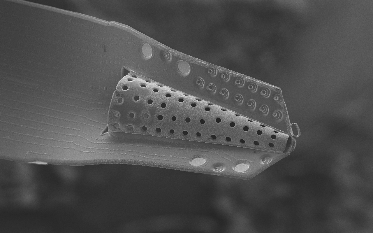 Parylene Cortical Probe